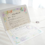 オリンピア-審美眼