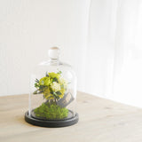 プリザーブドローズのガラスドームS - 「花」 x 「風水」で幸運を贈るフラワーギフト