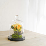 プリザーブドローズのガラスドームS - 「花」 x 「風水」で幸運を贈るフラワーギフト