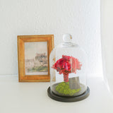 プリザーブドローズのガラスドームL - 「花」 x 「風水」で幸運を贈るフラワーギフト